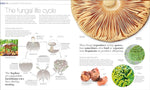 Plants and Fungi: The Definitive Visual Guide (DK Definitive Visual Encyclopedias)