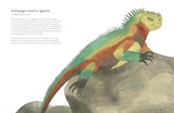 The Colorful World of Reptiles by Matt Sewell
