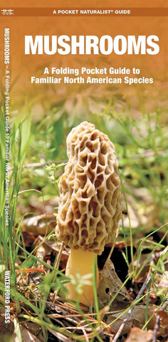 Mushrooms: A Folding Pocket Guide to Familiar North American Species