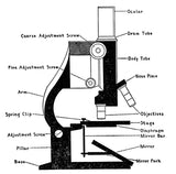 Adventures with a Microscope by Richard Headstrom