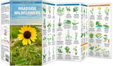 Roadside Wildflowers: A Folding Pocket Guide to Familiar North American Species
