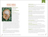 Beginner's Guide to Safely Foraging for Wild Mushrooms: Identifying and Collecting Mushrooms Sustainably with Confidence by Karen Stephenson