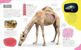 The Animal Body Book: An Insider's Guide to the World of Animal Anatomy (DK)