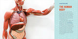 Human Anatomy for Kids: A Junior Scientist's Guide to How We Move, Breathe, and Grow by Kristie Wagner