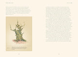 Forty Ways to Know a Tree: Exploring Trees to Understand Nature by Joan Maloof