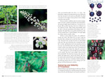 Edible Wild Plants, Volume 2: Wild Foods from Foraging to Feasting by John Kallas, PHD