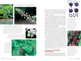 Edible Wild Plants, Volume 2: Wild Foods from Foraging to Feasting by John Kallas, PHD