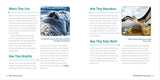 Ocean Animals for Kids: A Junior Scientist's Guide to Whales, Sharks, and Other Marine Life (Junior Scientists) by Bethanie and Josh Hestermann