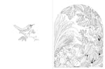 A Walk in the Woods: An Intricate Coloring Book by Leila Duly