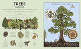Nature Explained: A Family Guide to 20 Nature Cycles by Helen Brown