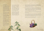 The Time Traveller's Herbal: An Historical Handbook for the Budding Apothecary