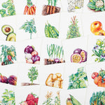 Gardener's Match: A Fruit and Vegetable Memory Game by Abigail Willis