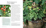 Grow Your Own Food: 35 Ways to Grow Vegetables, Fruits, and Herbs in Containers