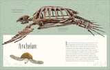 Dinosaurs and Other Prehistoric Life (DK Children's Anthologies)