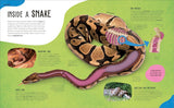 The Animal Body Book: An Insider's Guide to the World of Animal Anatomy (DK)