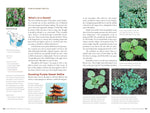 Edible Wild Plants, Volume 2: Wild Foods from Foraging to Feasting by John Kallas, PHD