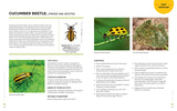 The Vegetable Garden Pest Handbook: Identify and Solve Common Pest Problems on Edible Plants