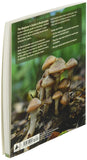 The Beginner's Guide to Mushrooms by Britt A. Bunyard & Tavis Lynch