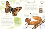 An Anthology of Butterflies and Moths: A Collection from Around the World (DK Little Anthologies) by Richard Jones