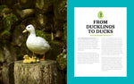 Raising Ducks for Beginners and Beyond: The Guide to Breeds, Ponds, Nutrition, and All Things Duck by Kristine Ellis