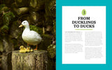 Raising Ducks for Beginners and Beyond: The Guide to Breeds, Ponds, Nutrition, and All Things Duck by Kristine Ellis