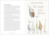 The Milkweed Lands: An Epic Story of One Plant: Its Nature and Ecology by Eric Lee-Mader