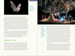 Nature at Night: Discover the Hidden World That Comes Alive After Dark by Charles Hood