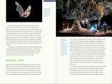 Nature at Night: Discover the Hidden World That Comes Alive After Dark by Charles Hood