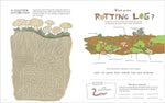 Julia Rothman's Nature Activity Book for Curious Kids