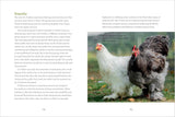 How to Read a Chicken's Mind: Understand How Chickens Learn, Perceive People, Express Emotions, and Pass Down Knowledge