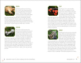 Beginner's Guide to Safely Foraging for Wild Mushrooms: Identifying and Collecting Mushrooms Sustainably with Confidence by Karen Stephenson