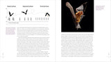 The Weird and Wonderful World of Bats: Demystifying These Often-Misunderstood Creatures by Alyson Brokaw