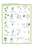 Ecological Guide to the Mosses and Common Liverworts by Sue Alix Williams