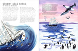 Race to the South Pole: A Two--Sided Story by Alexandra Stewart
