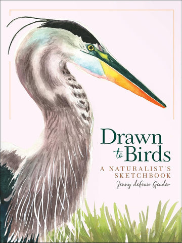 Drawn to Birds: A Naturalist's Sketchbook by Jenny Defouw Geuder