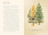 Forty Ways to Know a Tree: Exploring Trees to Understand Nature by Joan Maloof