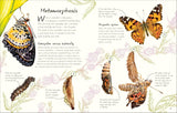 An Anthology of Butterflies and Moths: A Collection from Around the World (DK Little Anthologies) by Richard Jones
