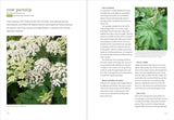 Midwest Foraging: 115 Wild and Flavorful Edibles from Burdock to Wild Peach by Lisa M Rose