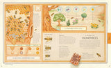 Explore: A Collection of Maps and Diagrams That Explain the World (DK)
