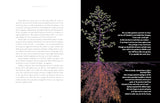 Entangled Life: The Illustrated Edition: How Fungi Make Our Worlds by Merlin Sheldrake