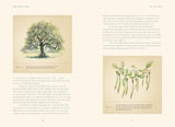 Forty Ways to Know a Tree: Exploring Trees to Understand Nature by Joan Maloof
