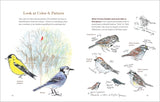 How to Look at a Bird: Open Your Eyes to the Joy of Watching and Knowing Birds by Clare Walker Leslie