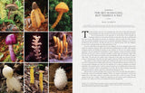 Fantastic Fungi: How Mushrooms Can Heal, Shift Consciousness, and Save the Planet by Paul Stamets