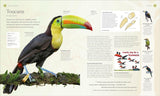 The Bird Book: The Stories, Science, and History of Birds (DK)