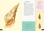 The Little Book of Shells: A Guide to Shells and the Amazing Creatures Who Make Them (Little Library of Natural History #5)