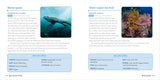 Ocean Animals for Kids: A Junior Scientist's Guide to Whales, Sharks, and Other Marine Life (Junior Scientists) by Bethanie and Josh Hestermann