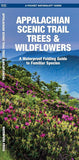 Appalachian Scenic Trail Trees & Wildflowers: A Waterproof Folding Guide to Familiar Species