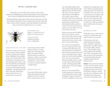 The Wild Bee Handbook by Sarah Wyndham-Lewis