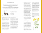 The Wild Bee Handbook by Sarah Wyndham-Lewis