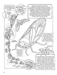 My First Book about Bugs (Dover Science for Kids Coloring Books) by Donald M. Silver & Patricia J. Wynne